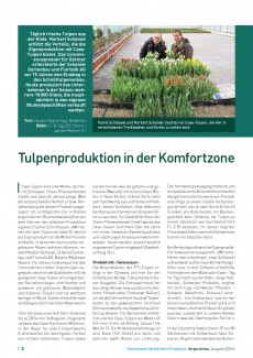 Presseartikel: Tulpenproduktion in der Komfortzone (der Gartenbau | Ausgabe 3/2016)