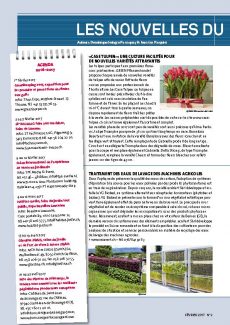 Presseartikel: «CASE TULPEN»: UNE CULTURE FACILITÉE POUR DE NOUVELLES VARIÉTÉS ATTRAYANTES (Horticulture Romande | Januar 2017)