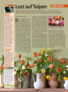 Presseartikel: Lust auf Tulpen (Glückspost | März 2021)