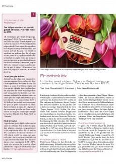 Presseartikel: Frischekick (Florist | Februar 2015)