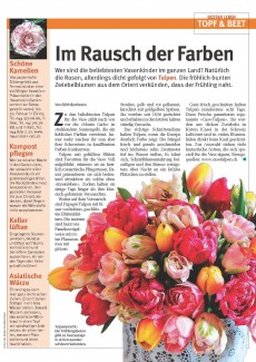 Presseartikel: Im Rausch der Farben (Glückspost | Ausgabe 4/2016)