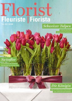 Presseartikel: Raus aus der Kiste (Florist | Ausgabe 3/2016)