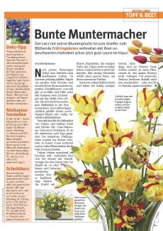Presseartikel: Bunte Muntermacher (Glückspost | Februar 2017)