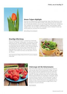 Presseartikel: Neues Tulpen-Highlight (Schweizer Garten | Januar 2018)