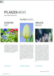 Presseartikel: Tulpen in weiss (Gartenidee | März 2017)