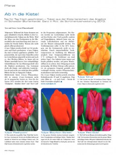 Presseartikel:  Tulpensortiment 2013: Ab in die Kiste! (Florist | Februar 2013)