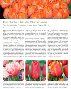 Presseartikel:  Für die heimische Produktion: neue Kisten-Tulpen 2014 (Florist | Februar 2014)